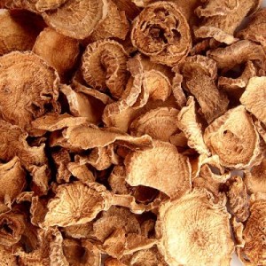 Harpagophytum * Racines Bio 100 g